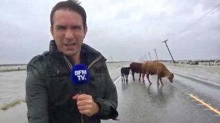 Cédric Faiche au Texas - Cyclone Harvey